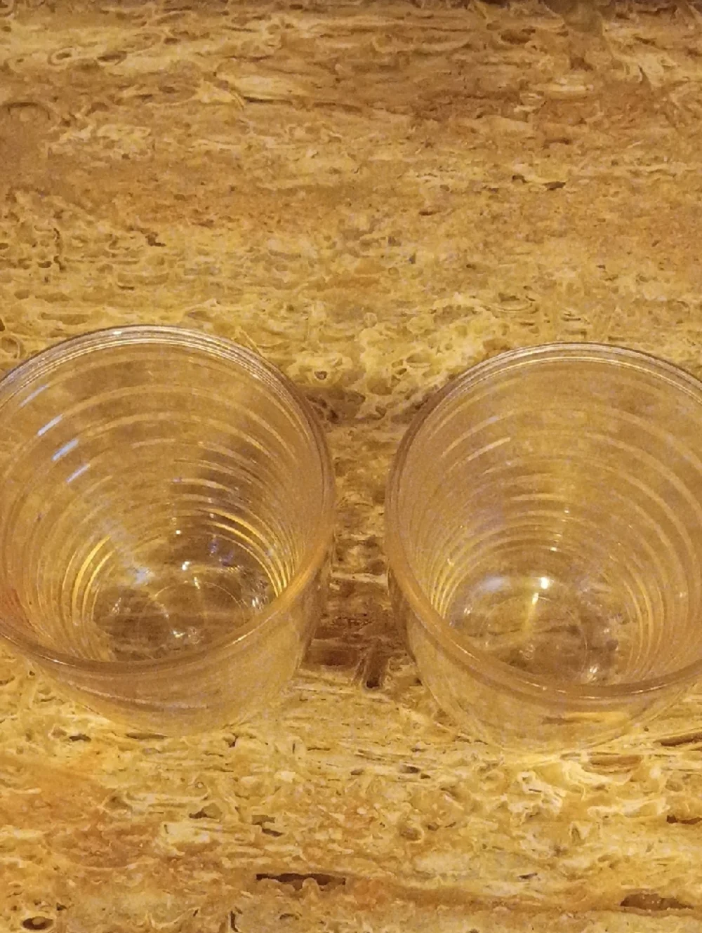Vintage Parrot & Tucan 12 Oz.Tervis Tumblers Set Of 2 No Lids